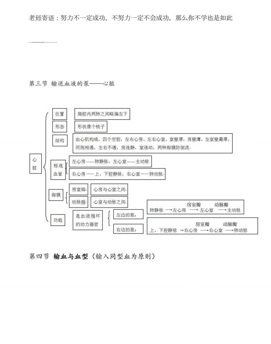 人教版七年级下册生物第四章人体物质的运输知识导图试卷教案_第4页