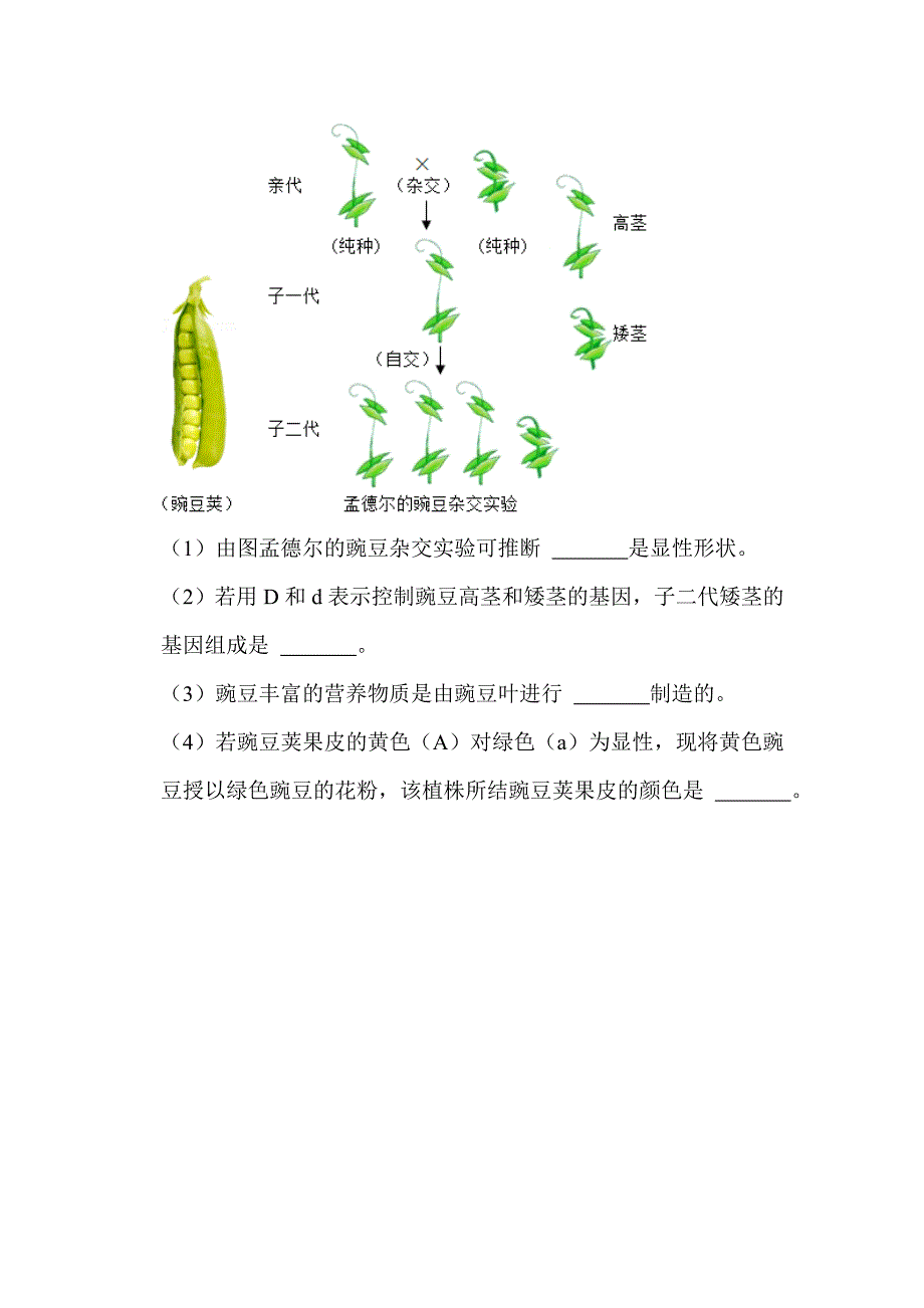 2022年湖北省十堰市中考生物试卷解析版_第4页