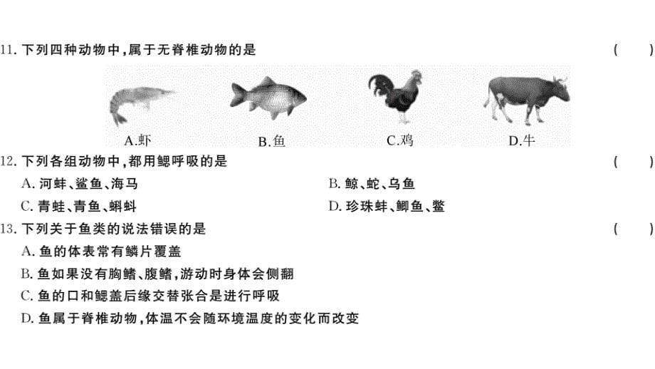 人教版八年级生物上册单元测试题及答案全套ppt课件版_第5页