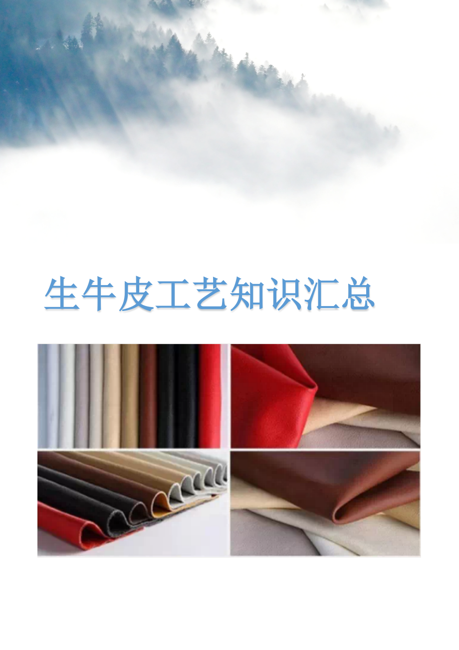 生牛皮工艺知识汇总_第1页
