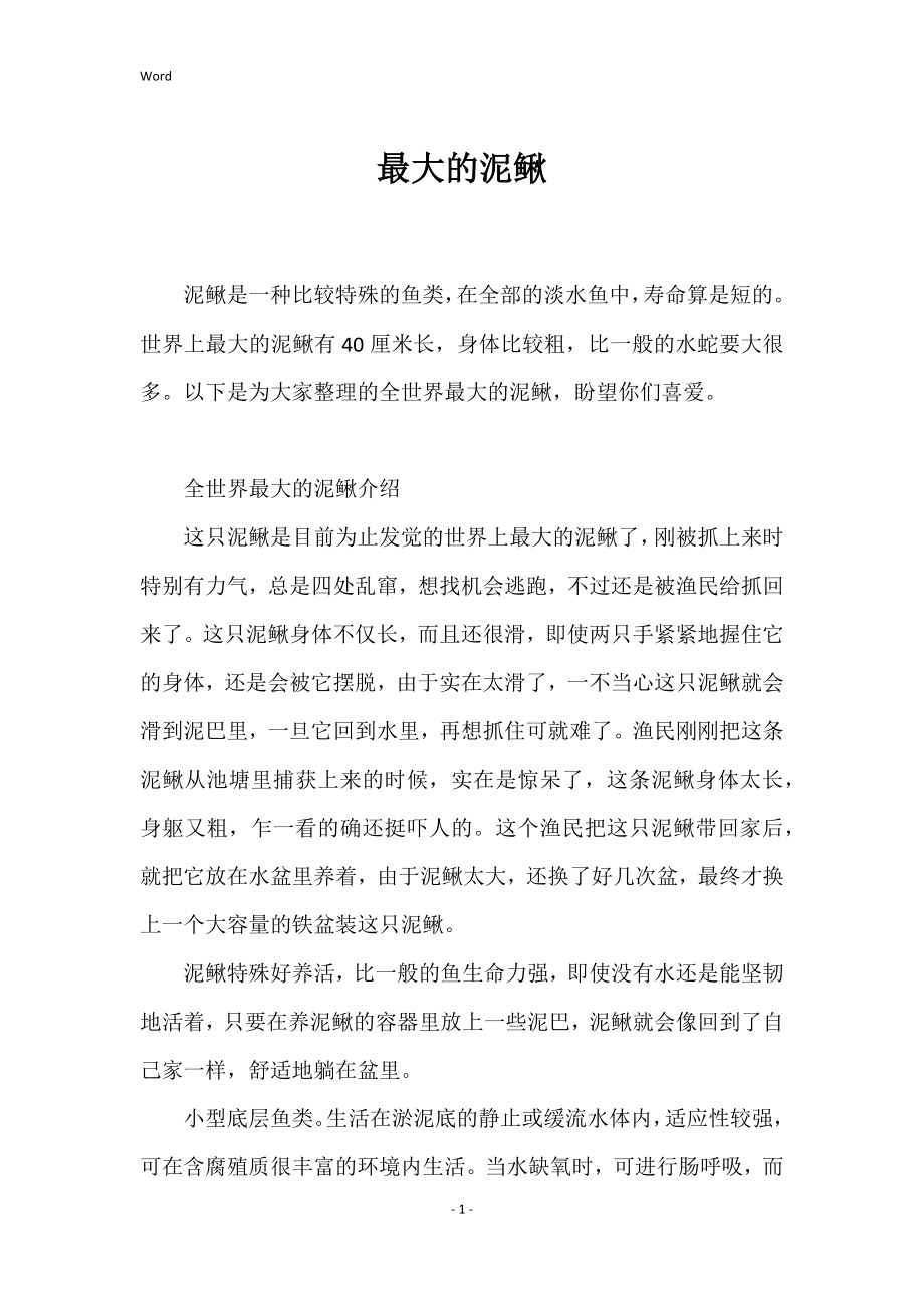 最大的泥鳅_第1页