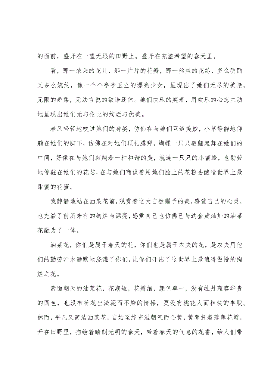 关于油菜花作文800字（精选36篇）_第3页