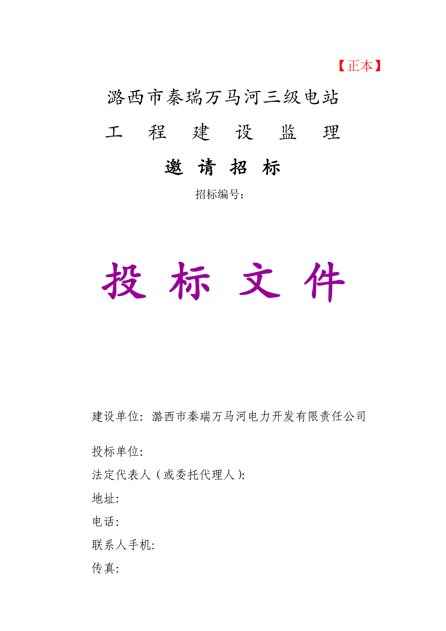 潞西市秦瑞万马河三级电站工程建设监理招标文件_第1页