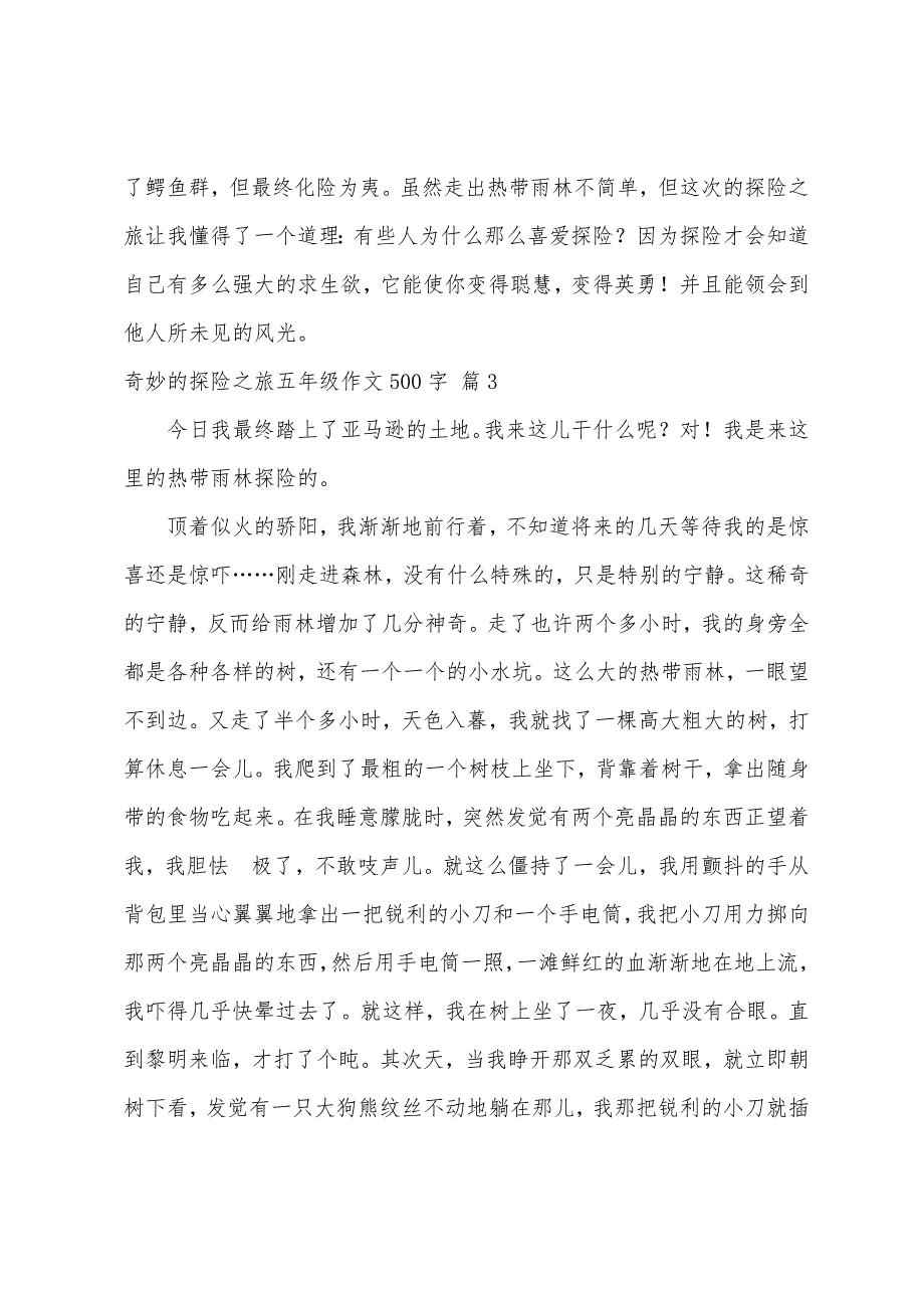 神奇的探险之旅五年级作文500字（精选73篇）_第3页