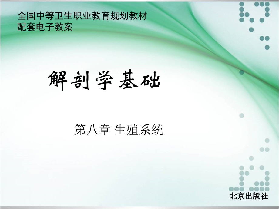 中职解剖学基础课件第八章 生殖系统_第1页