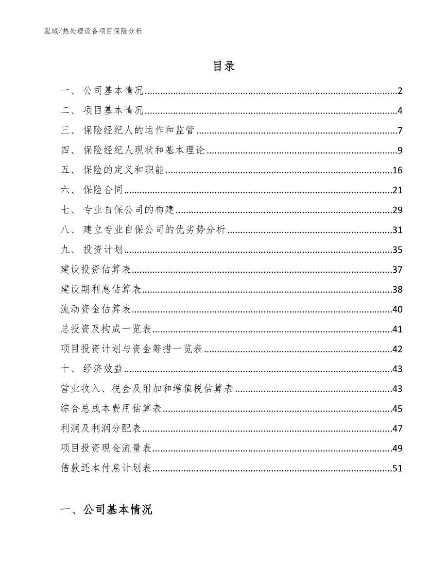 热处理设备项目保险分析_参考_第2页