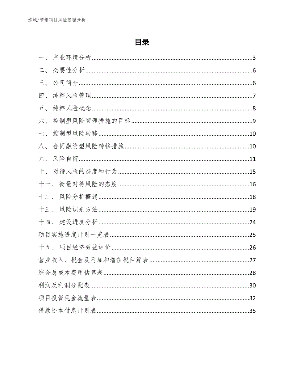 带钢项目风险管理分析（参考）_第2页