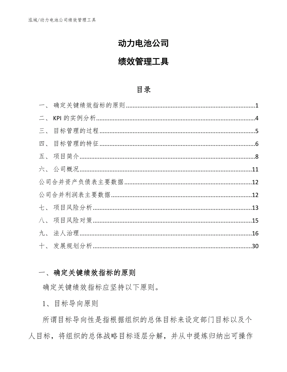 动力电池公司绩效管理工具（参考）_第1页