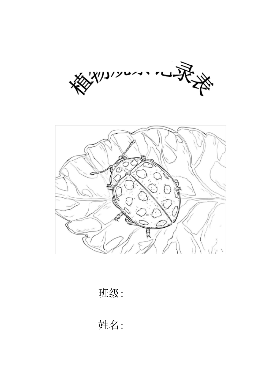 植物观察记录表范文_第1页