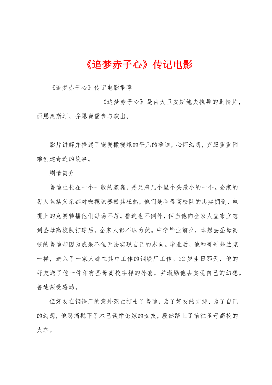《追梦赤子心》传记电影_第1页