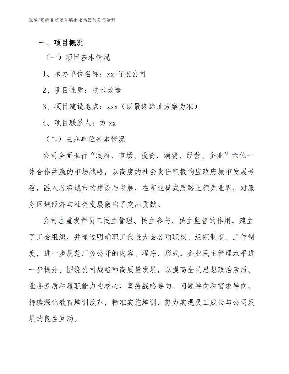 可折叠超薄玻璃企业集团的公司治理_参考_第2页