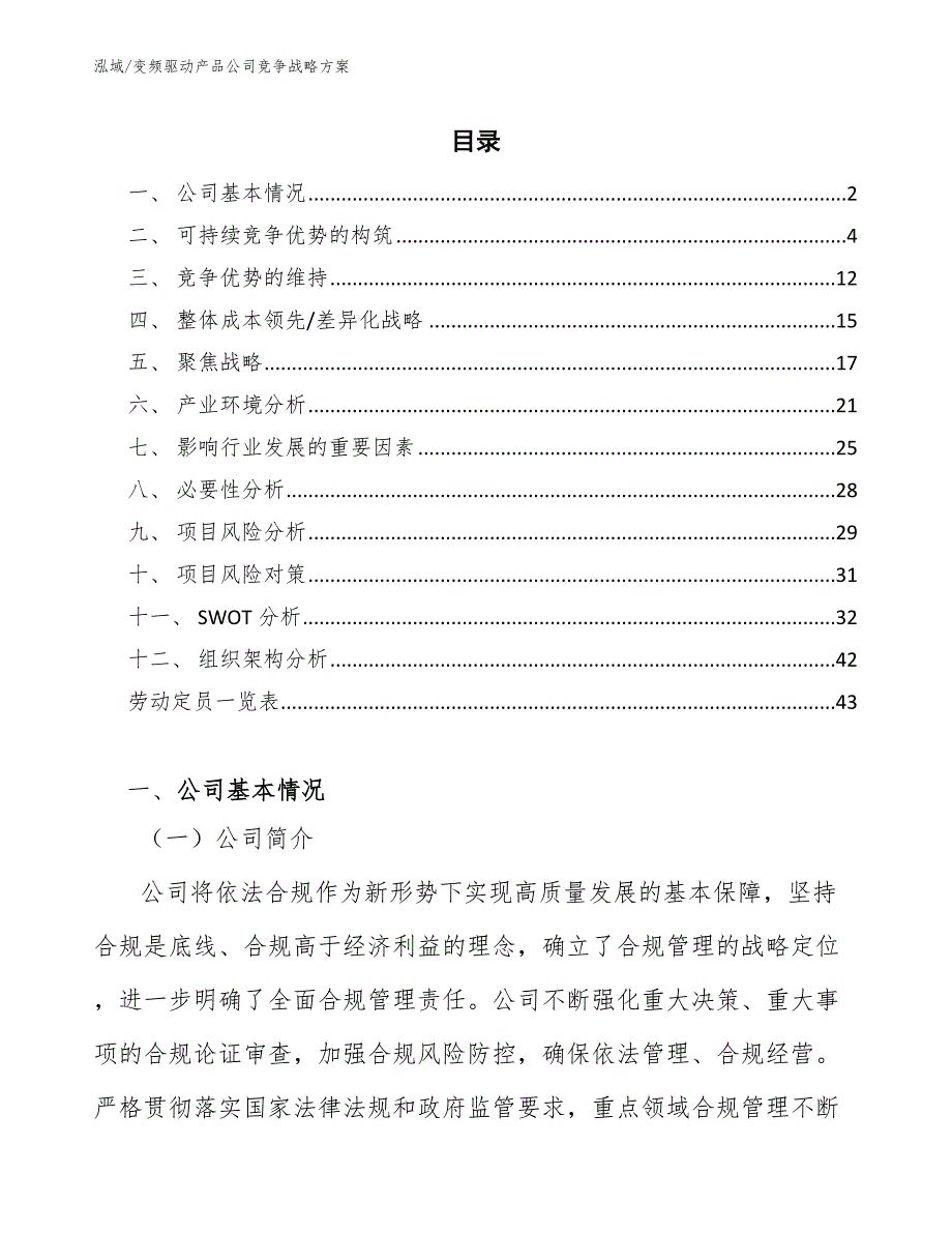 变频驱动产品公司竞争战略方案（范文）_第2页