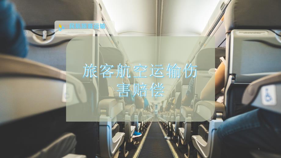 旅客航空运输伤害赔偿课件_第1页