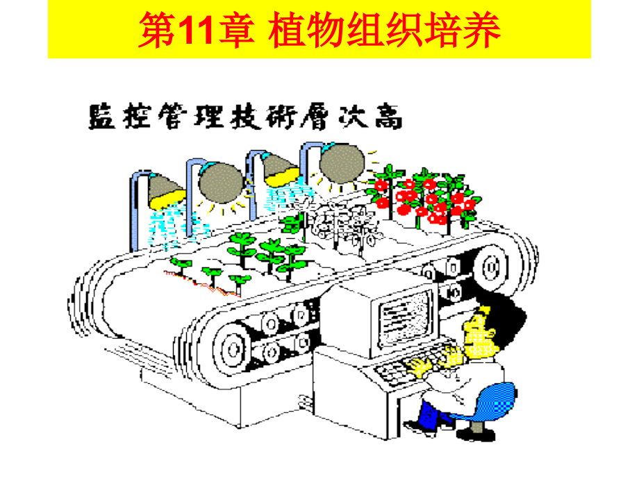 植物细胞的脱分化脱分化课件_第1页