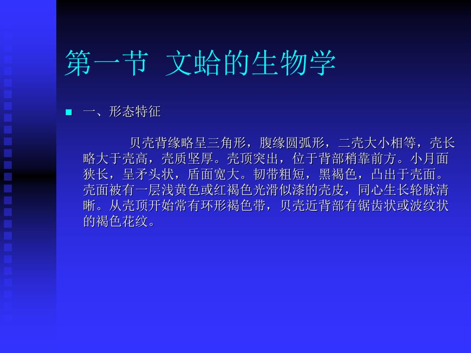 《文蛤的生物学》PPT课件_第1页