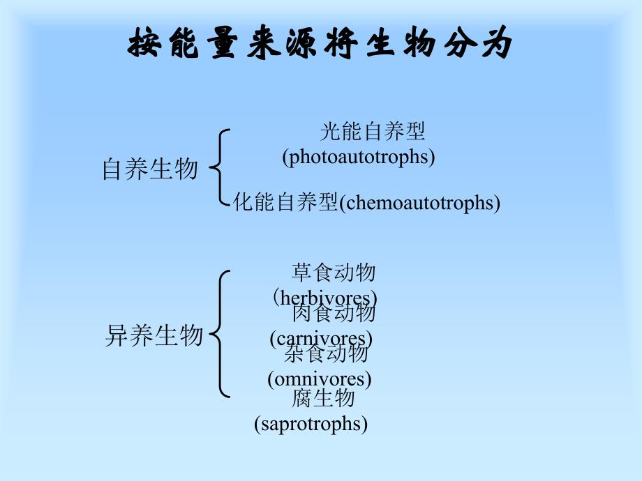 森林生态系统的能量流动课件_第3页