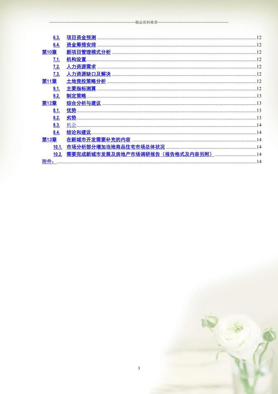 地产项目建议书模板(共18页doc)_第3页