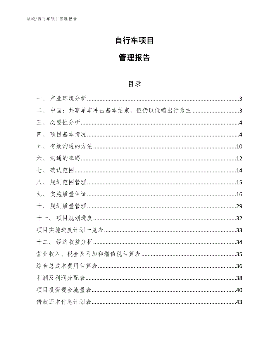 自行车项目管理报告_第1页
