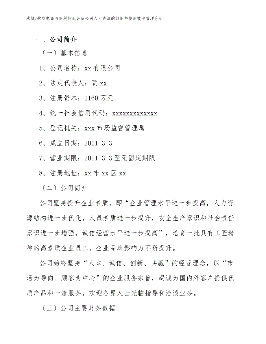 航空电商与保税物流装备公司人力资源的组织与使用效率管理分析（参考）_第3页