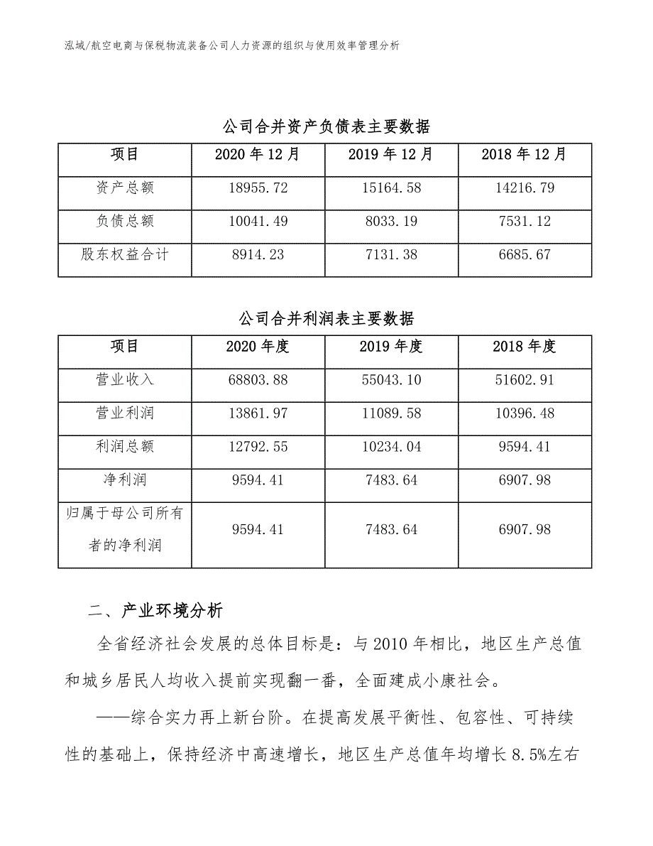 航空电商与保税物流装备公司人力资源的组织与使用效率管理分析（参考）_第4页