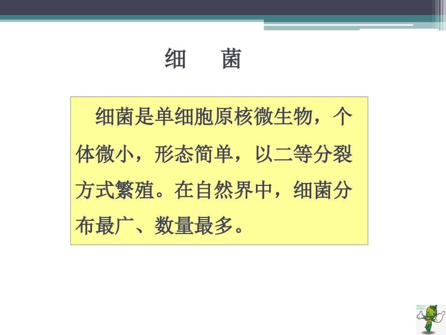 《食品微生物检验技术》教学课件—细菌的形态 (1)_第5页