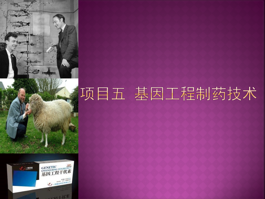 《生物制药工艺技术》教学课件05-基因工程制药技术_第1页