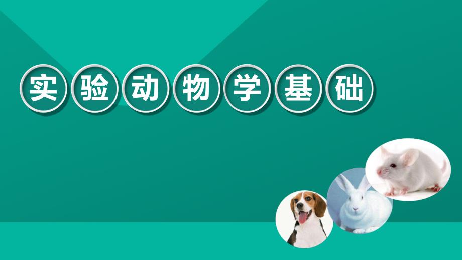 《实验动物学基础》教学课件—第一章-绪论_第1页