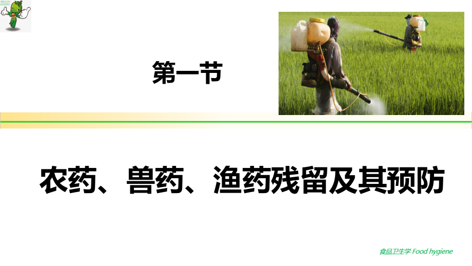 《食品卫生学》教学课件—03食品的化学污染及其预防_第3页