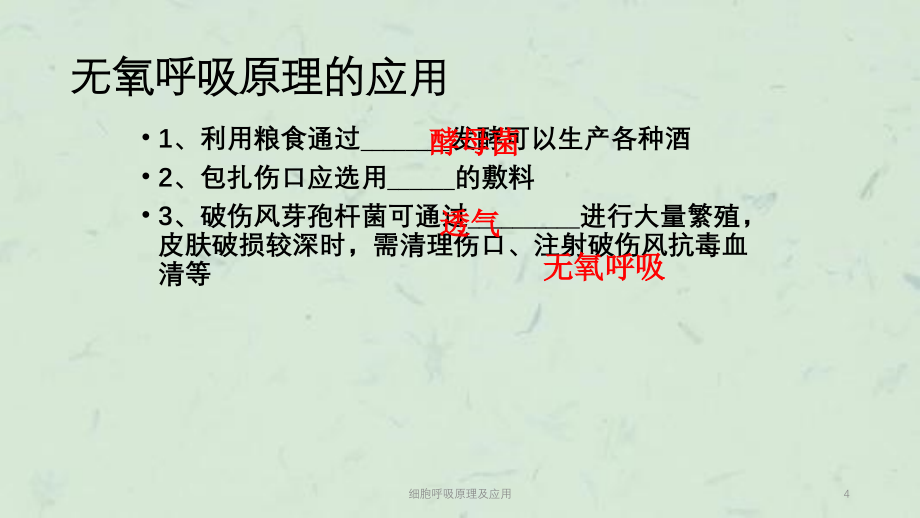 细胞呼吸原理及应用ppt课件_第4页