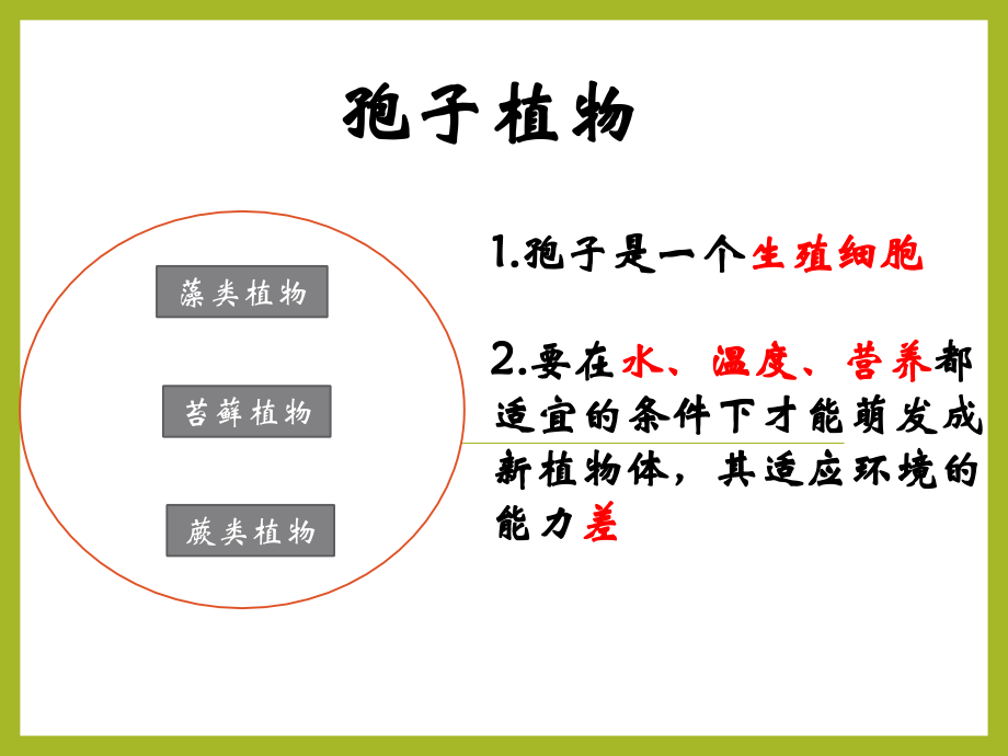 种子植物课件 人教版生物_第3页