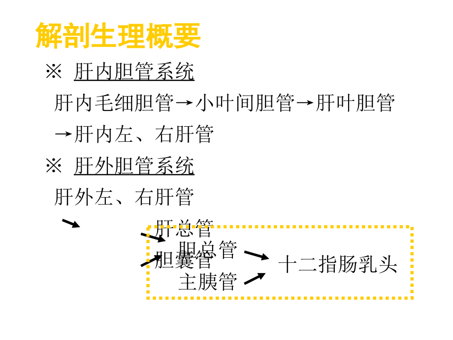 第十六章肝胆胰疾患者的护理课件_第4页