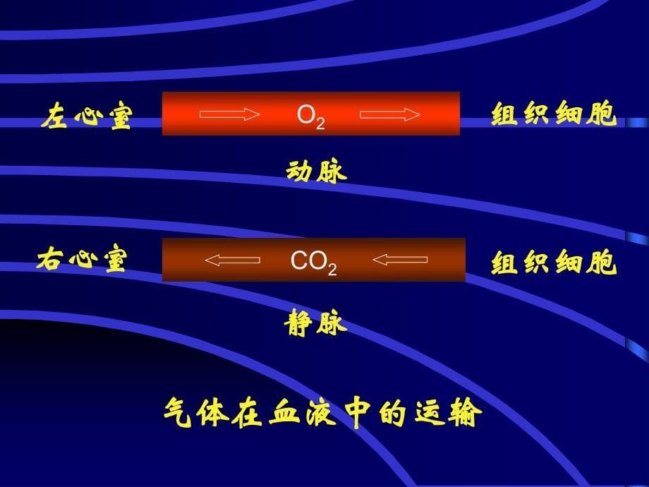 组织性缺氧课件_第5页