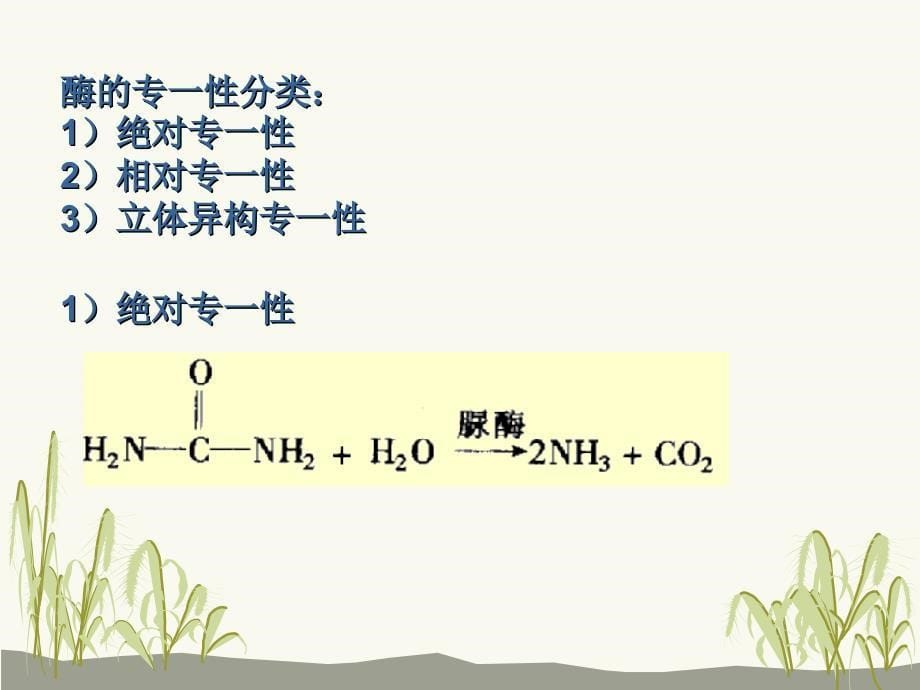 《生物化学(第2版)》教学课件05酶化学_第5页