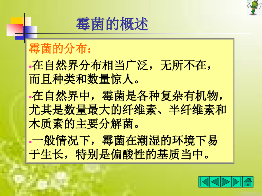 《食品微生物检验技术》教学课件—霉菌的形态_第3页