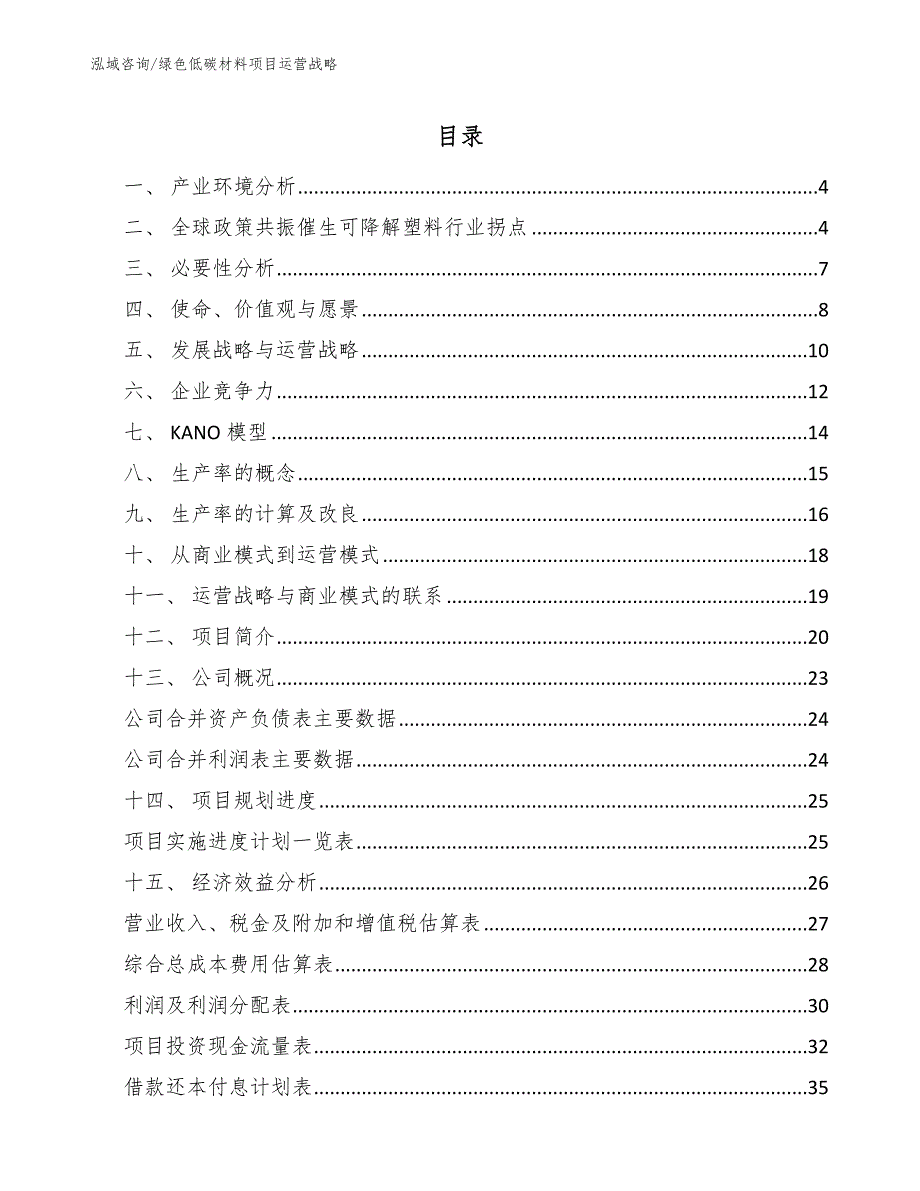 绿色低碳材料项目运营战略（参考）_第2页