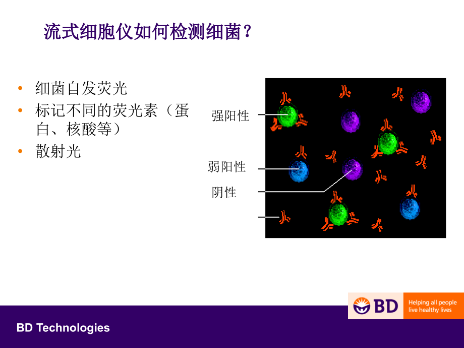 流式细胞仪微生物应用课件_第4页