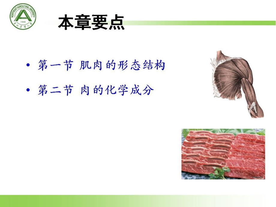 《肉品科学与技术(第3版)》教学课件—04肉的形态结构及化学成分_第2页