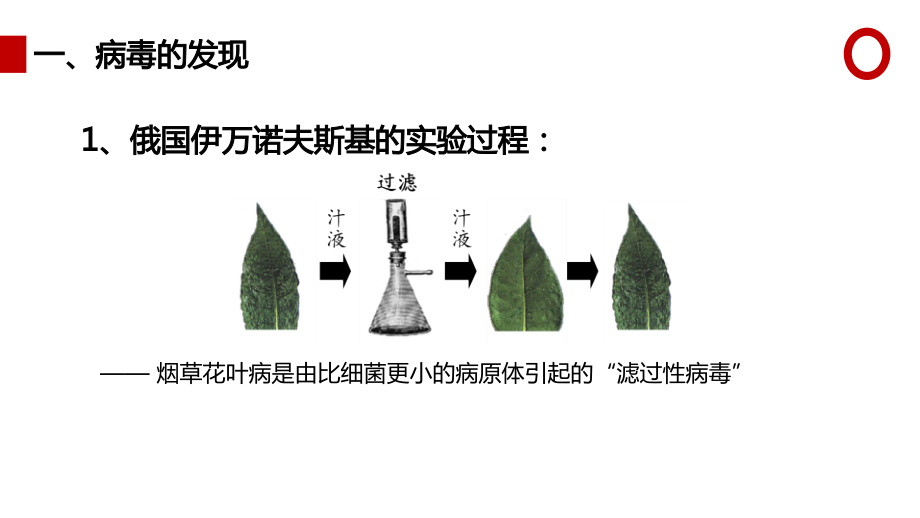 人教版八年级生物上册 第五章 病毒课件_第3页