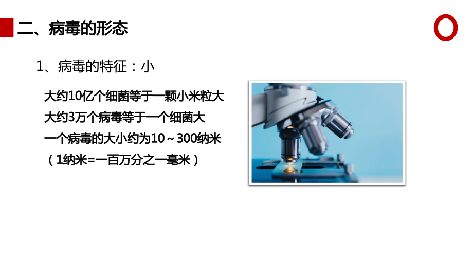 人教版八年级生物上册 第五章 病毒课件_第5页