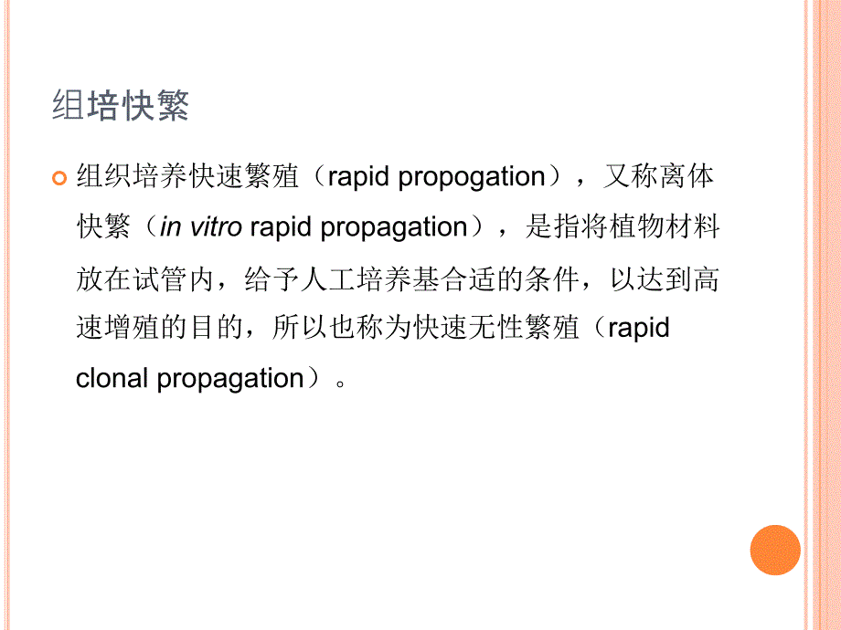 《组培应用》PPT课件_第4页