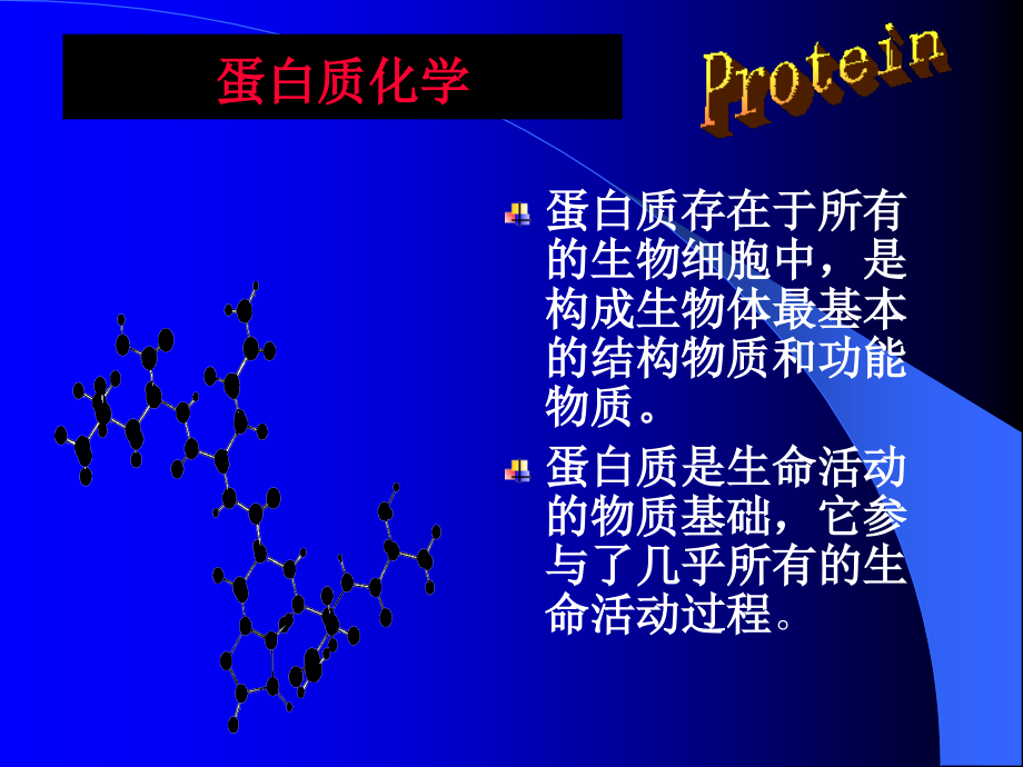 《考研生化蛋白质》PPT课件_第2页