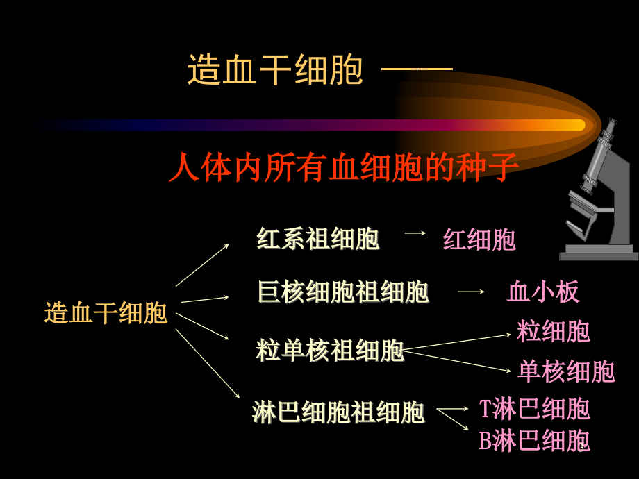 《白血病化疗讲座》PPT课件_第3页