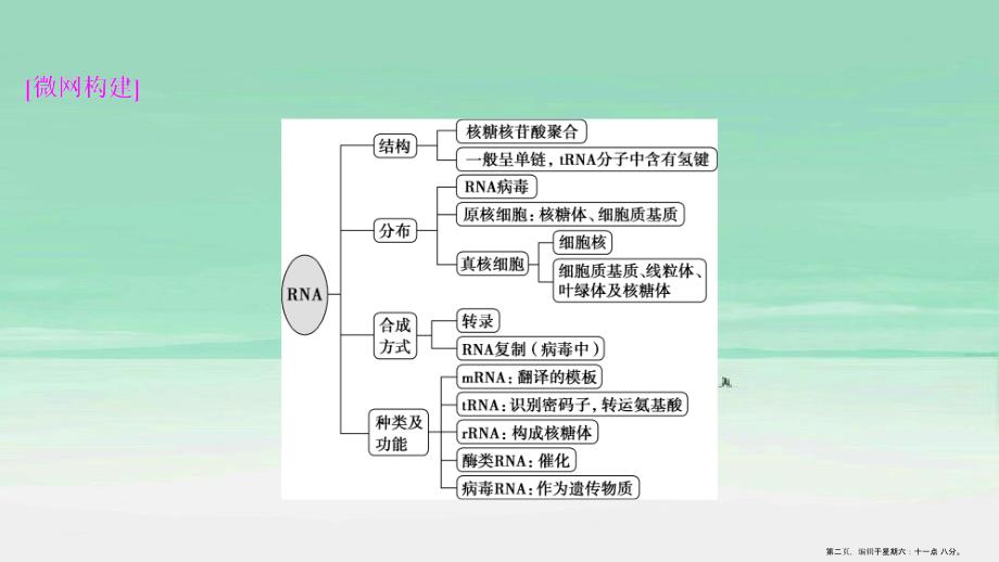 新高考2022高考生物二轮复习第二部分考前高分冲刺方略策略一热考素材热主题9RNA课件_第2页