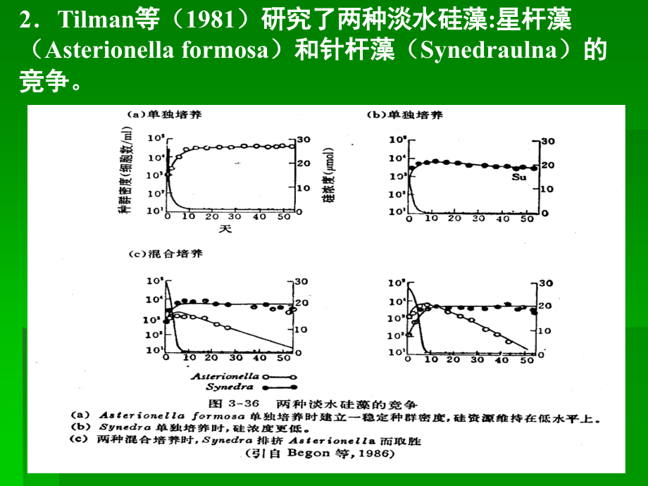 《种间相互作用》PPT课件_第4页