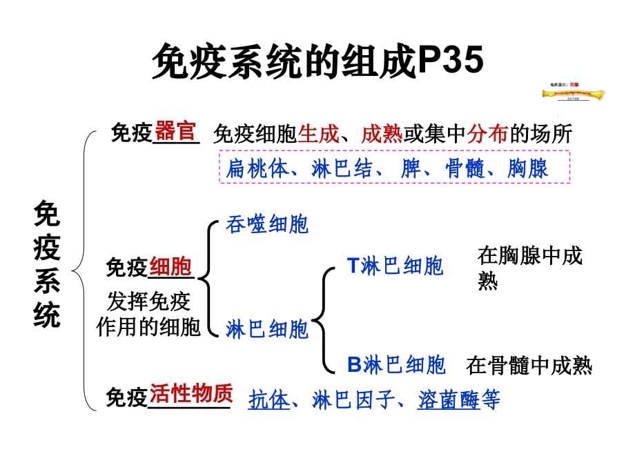 《疫调节理科》PPT课件_第5页