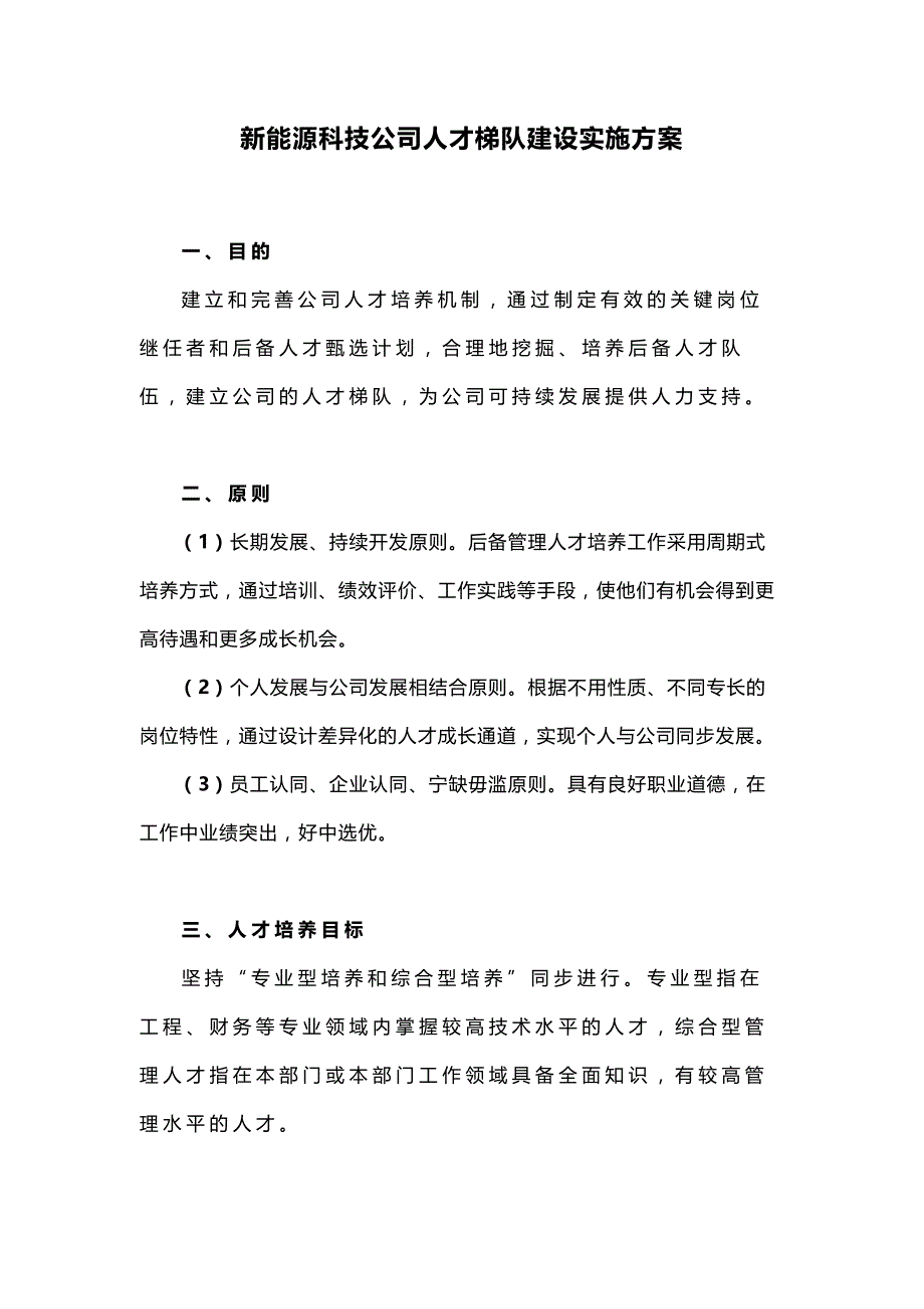 新能源科技公司人才梯队建设实施方案_第1页