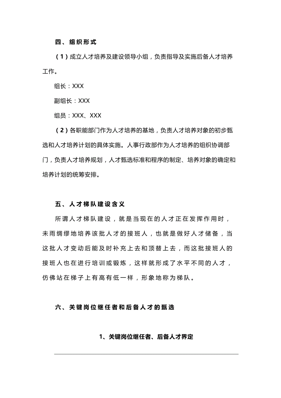 新能源科技公司人才梯队建设实施方案_第2页