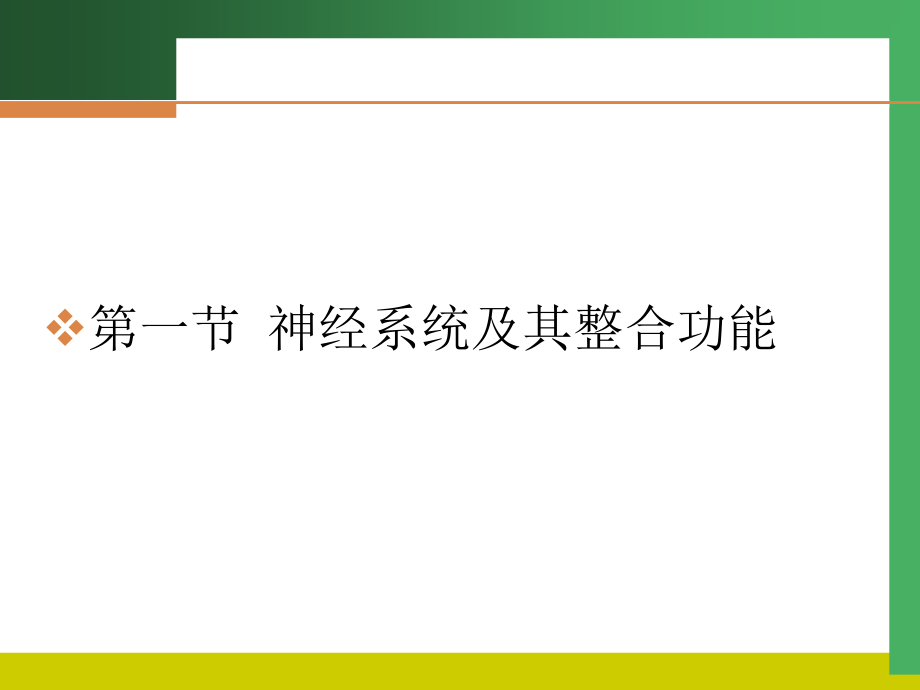 《神经和内分泌系统》PPT课件_第2页