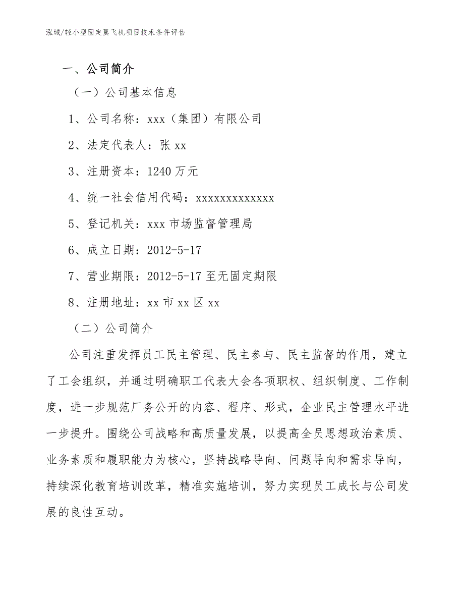 轻小型固定翼飞机项目技术条件评估_参考_第4页