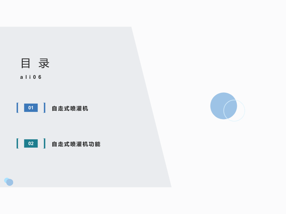 小型自走式喷灌机设备详情_第2页